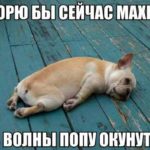 Bbha